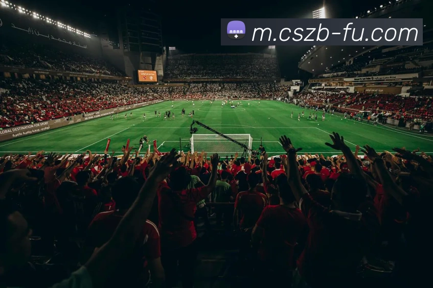 彩神争霸平台生态图